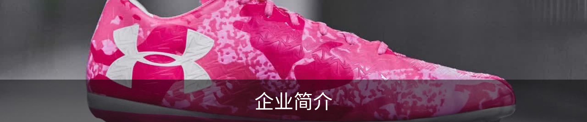 企业简介