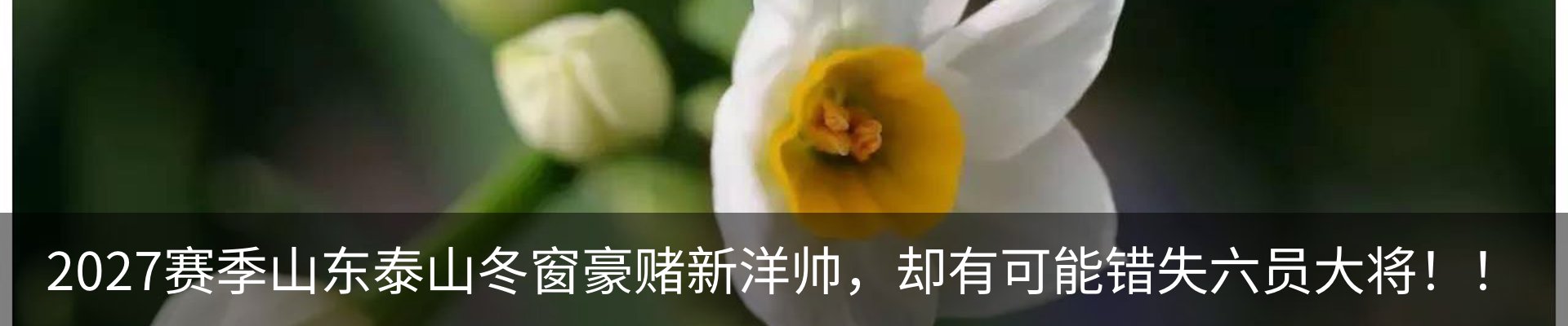 热点资讯